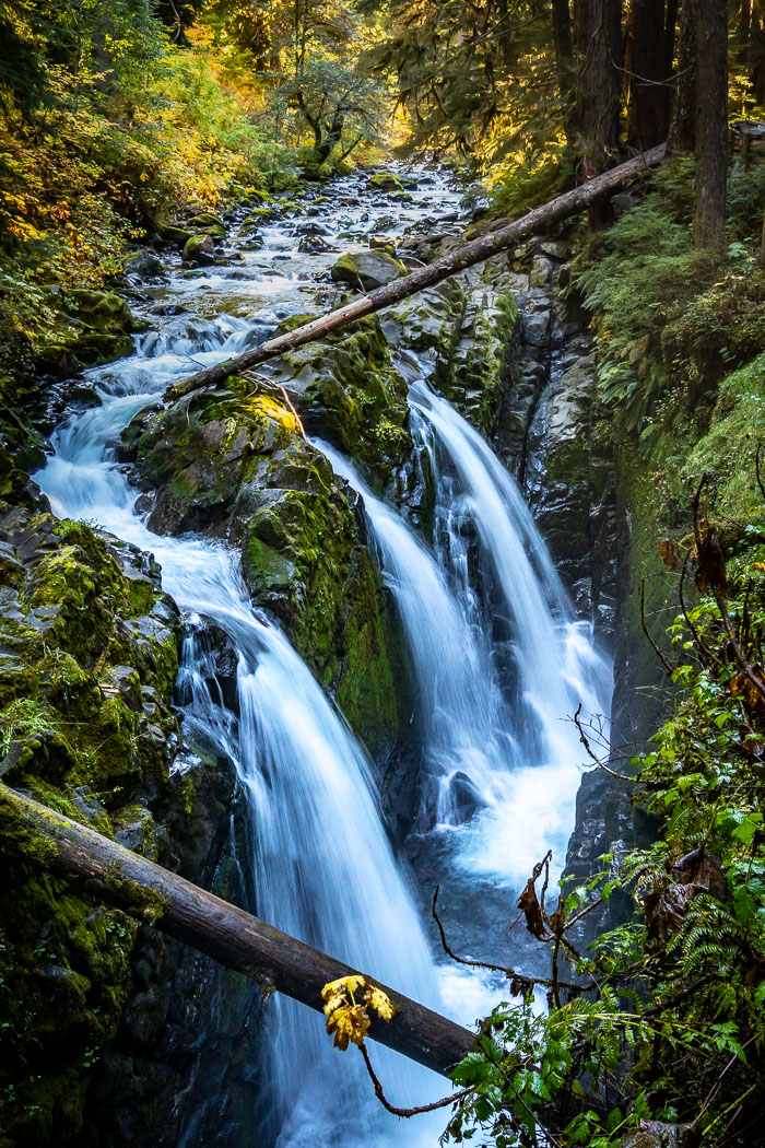 Olympic National Park