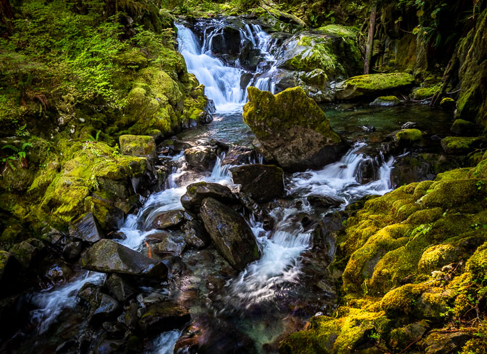 Olympic National Park