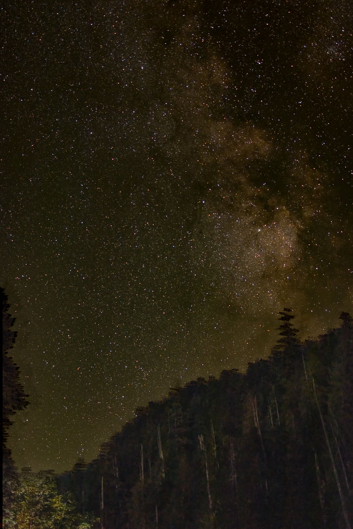 Olympic National Park