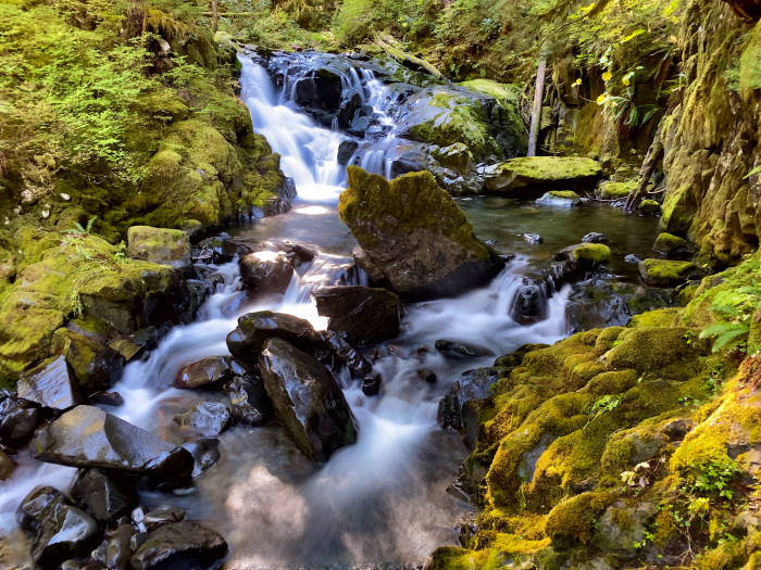 Olympic National Park