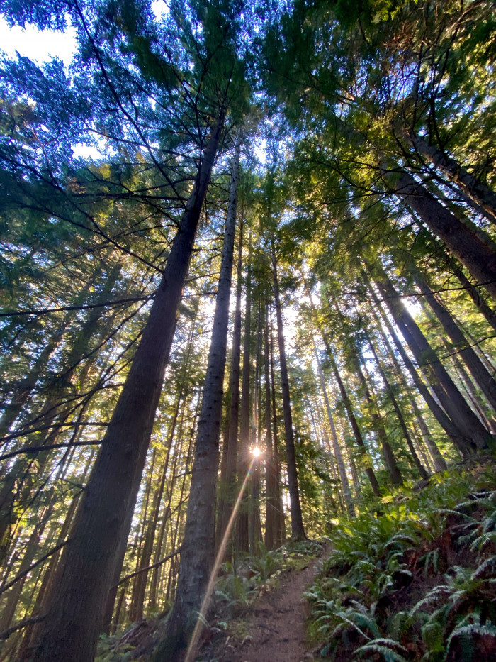 Olympic National Park