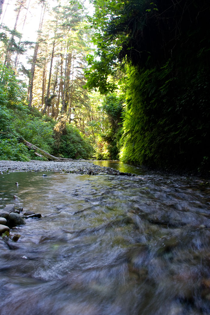 Redwoods National and State Parks