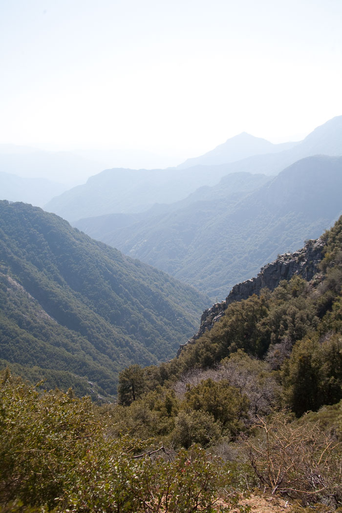 Sequoia-Kings Canyon