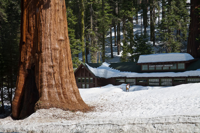 Sequoia-Kings Canyon