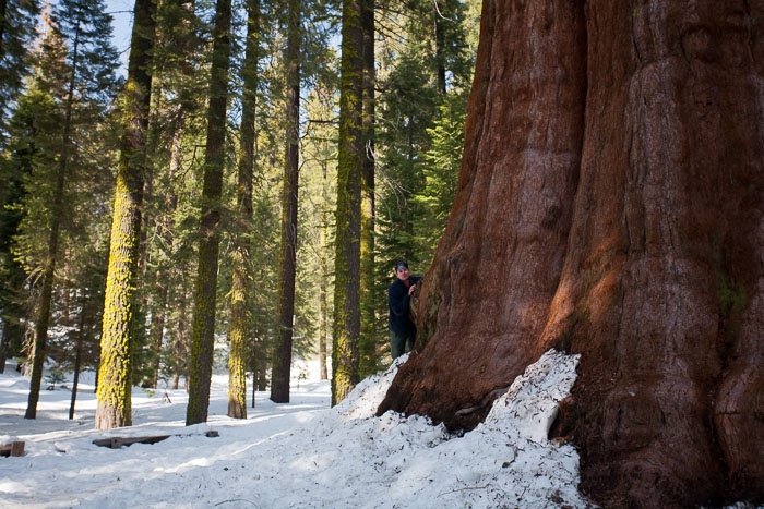 Sequoia-Kings Canyon