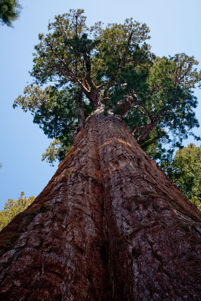 Sequoia-Kings Canyon