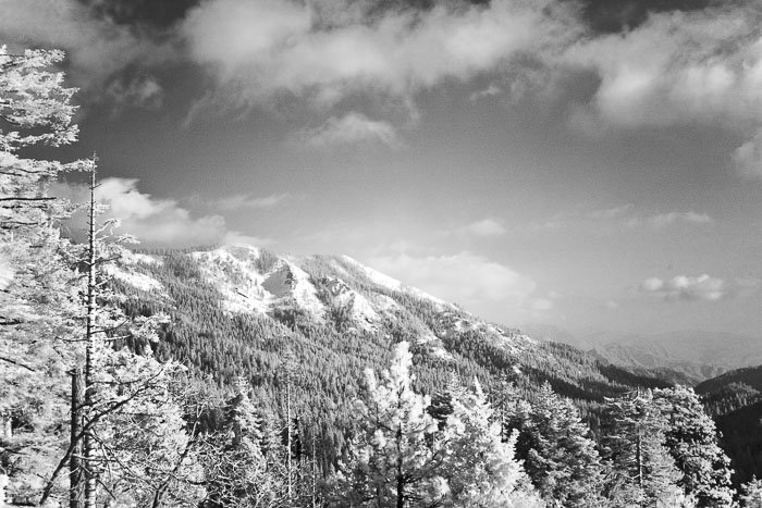 Sequoia-Kings Canyon