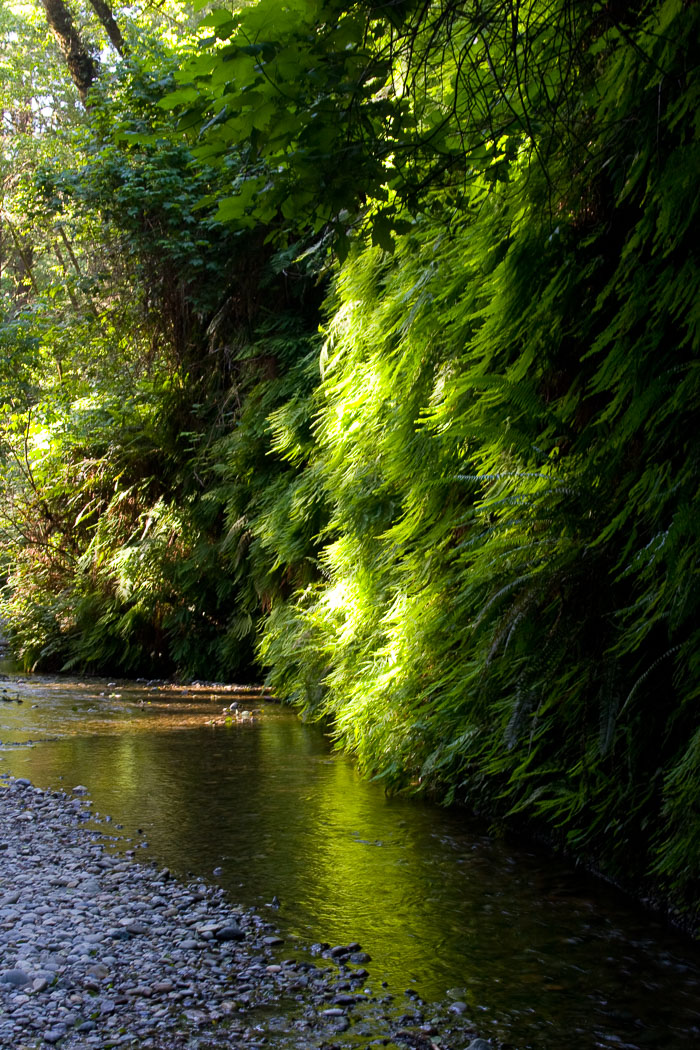 Pacific Region National Parks, Monuments, and Scenic Areas