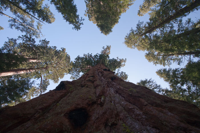 Pacific Region National Parks, Monuments, and Scenic Areas