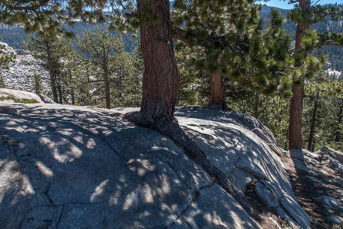 Yosemite Highcountry