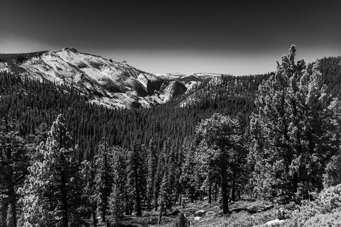 Yosemite Highcountry