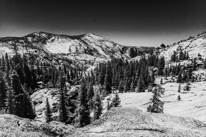 Yosemite Highcountry