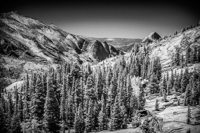 Yosemite Highcountry