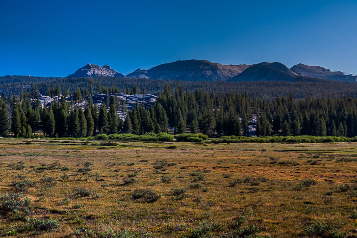 Yosemite Highcountry