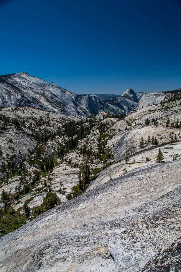 Yosemite Highcountry