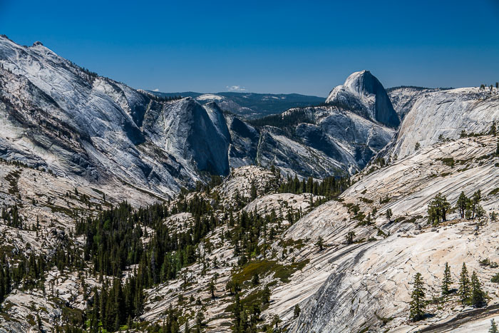 Yosemite Highcountry