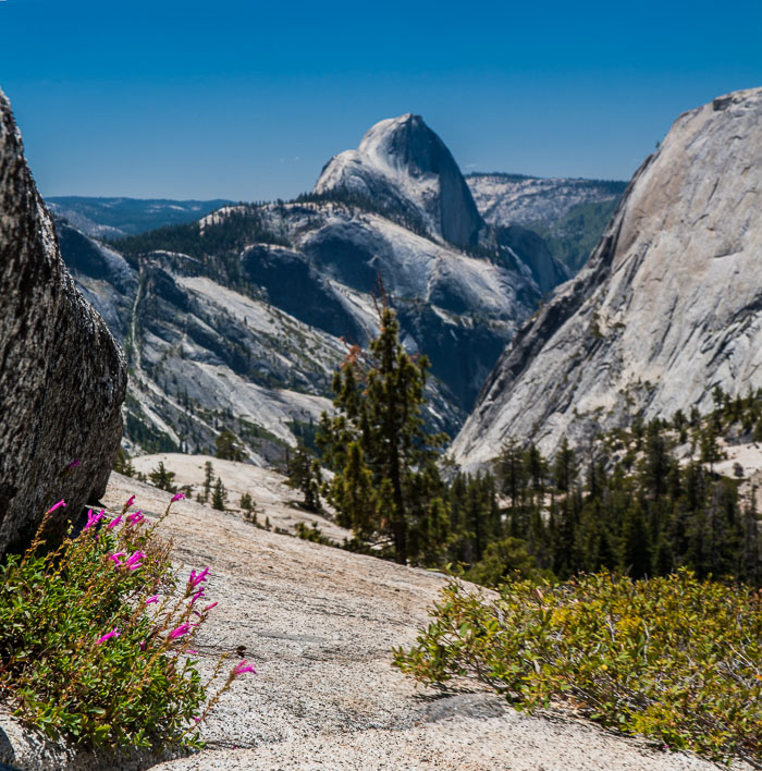 Yosemite Highcountry