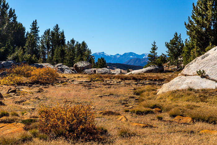 Beartooth Pass