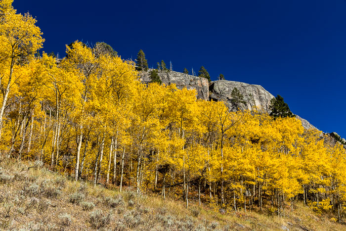 Beartooth Pass