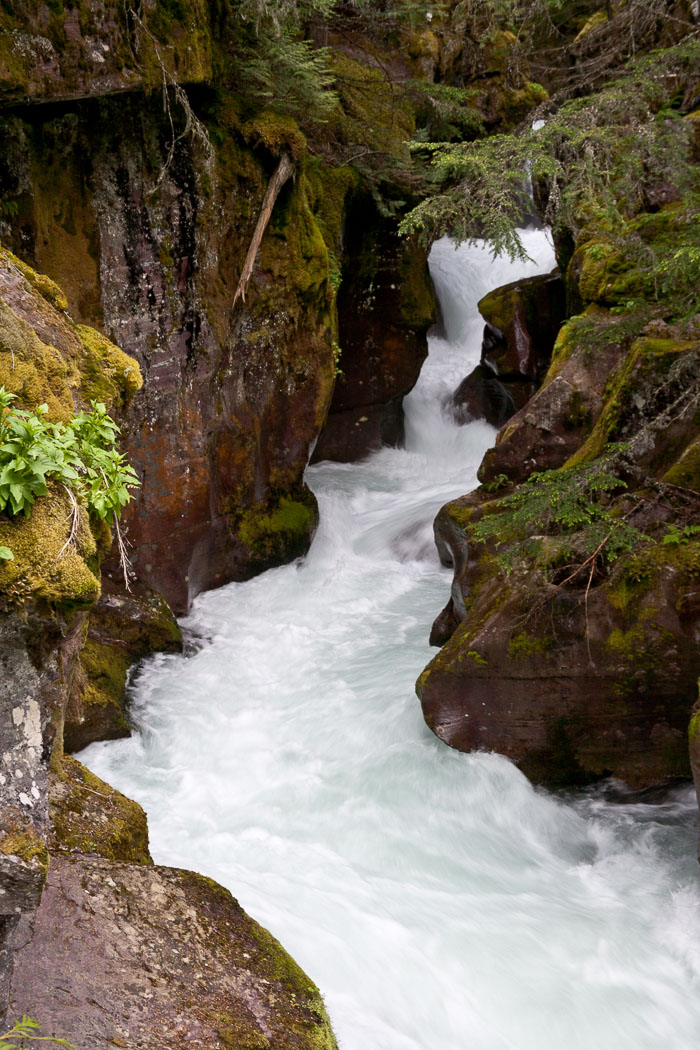 Avalanche Creek and Lake Trail