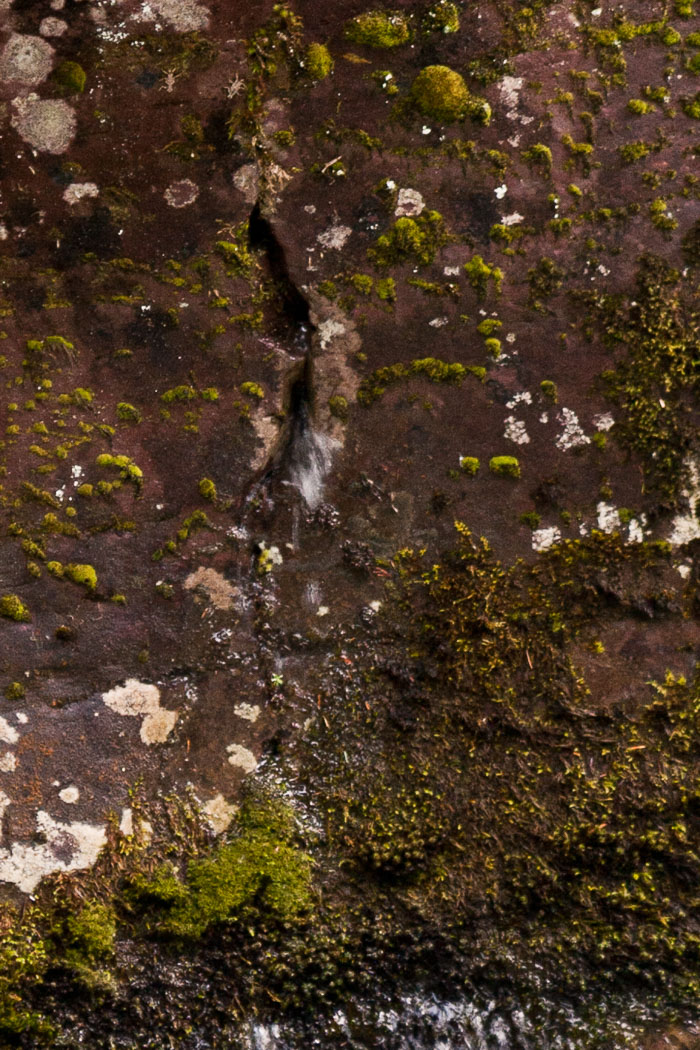 Avalanche Creek and Lake Trail