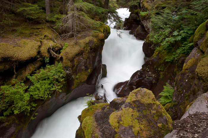 Avalanche Creek and Lake Trail