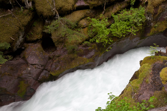Avalanche Creek and Lake Trail