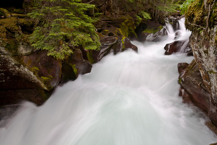 Avalanche Creek and Lake Trail