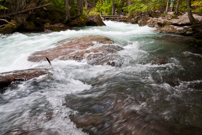 Avalanche Creek and Lake Trail