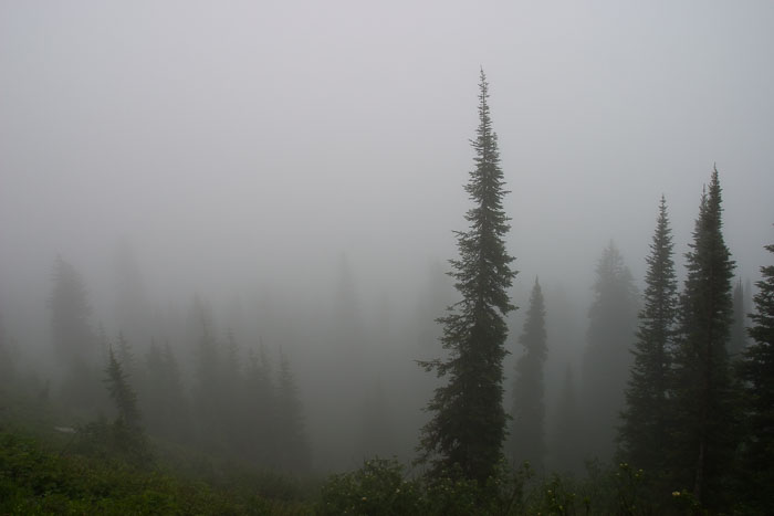 Going To The Sun Rd and Logan Pass