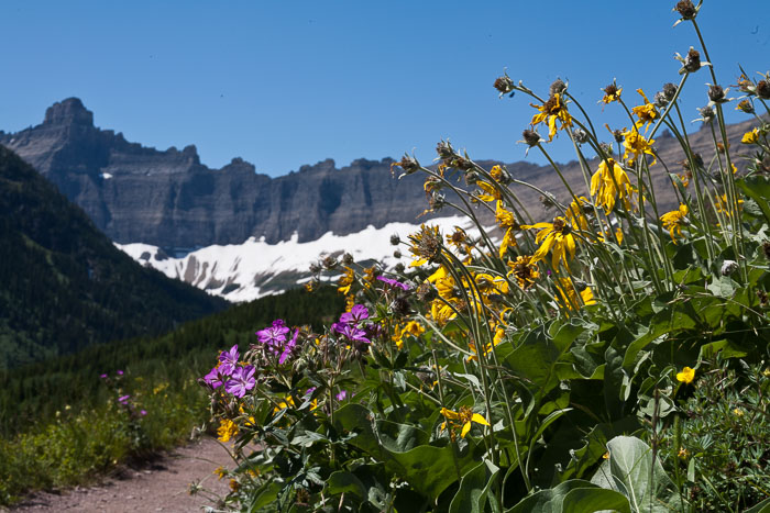 Many Glacier