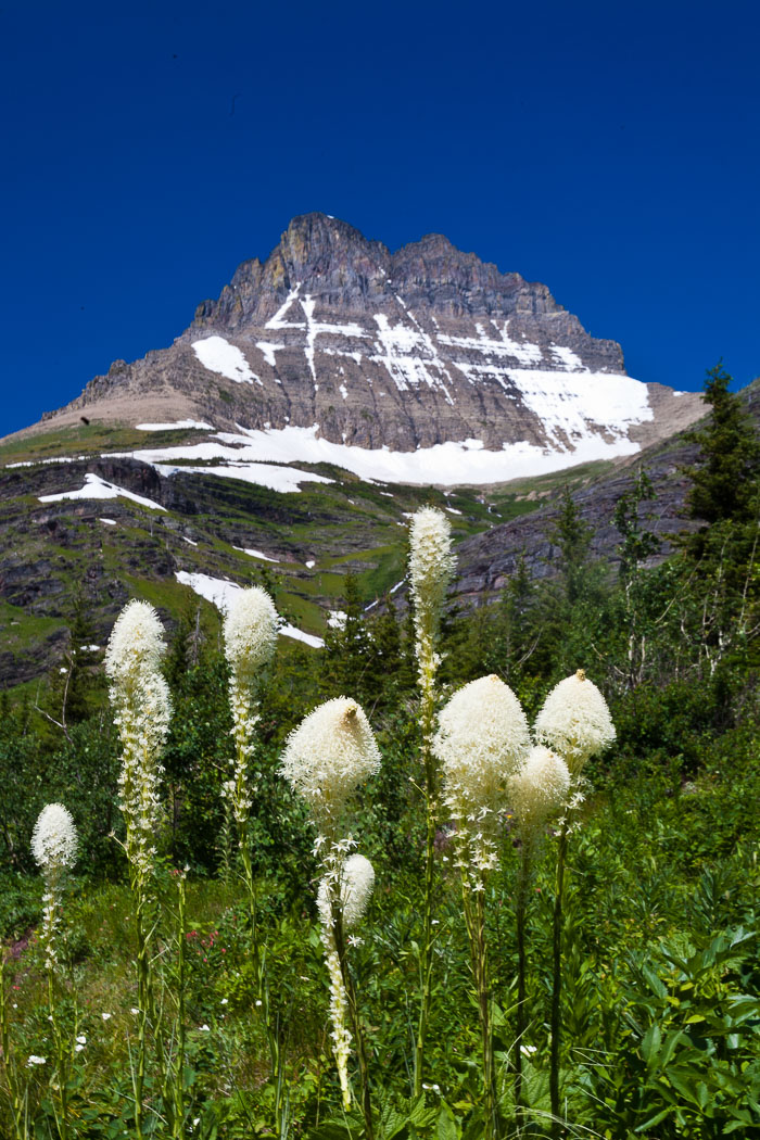 Many Glacier