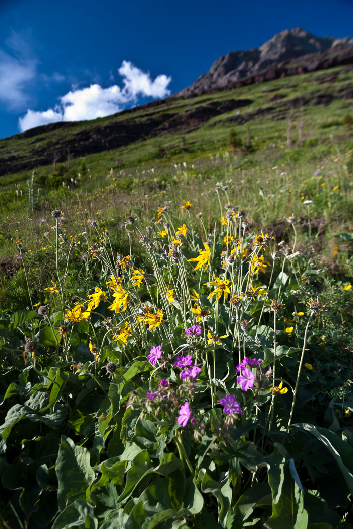 Glacier National Park