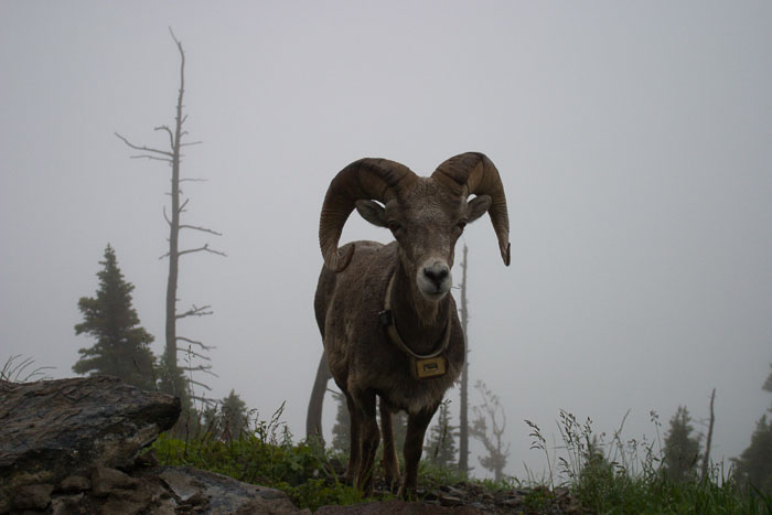 Glacier National Park