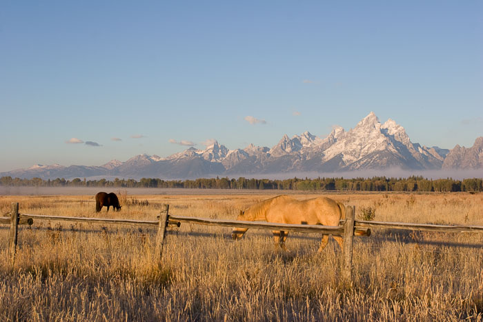 Grand Teton National Park 