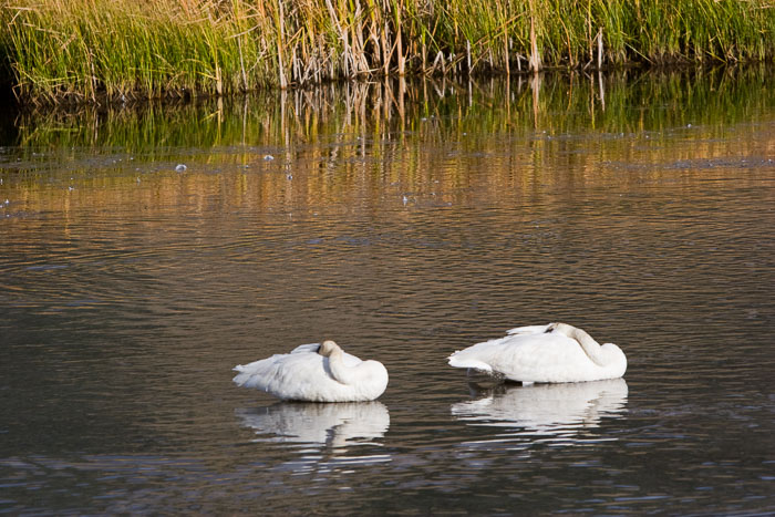 Grand Teton National Park 
