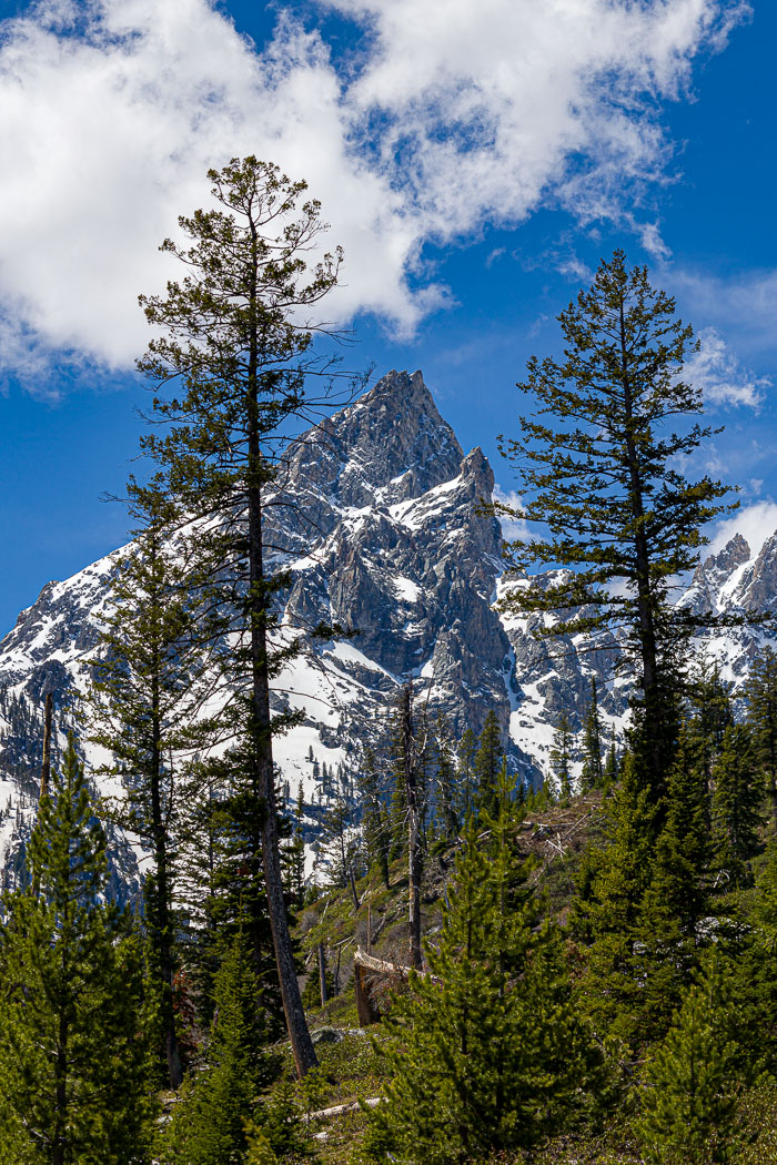 Grand Teton National Park 
