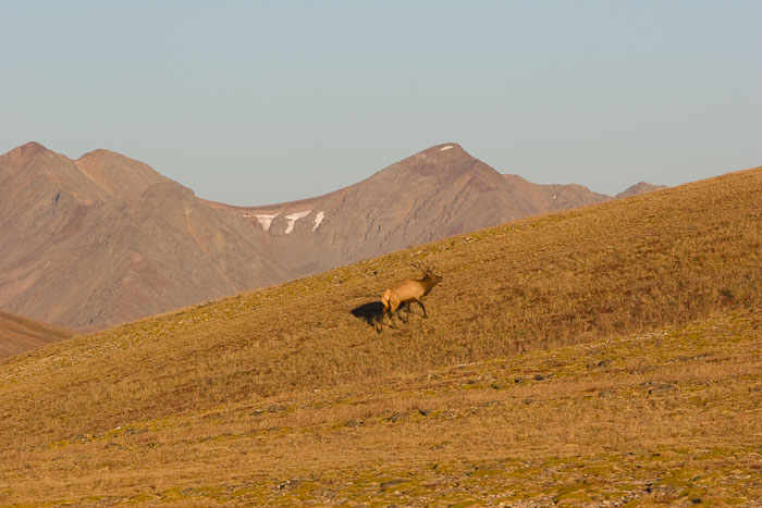 Rocky Mountain National Park