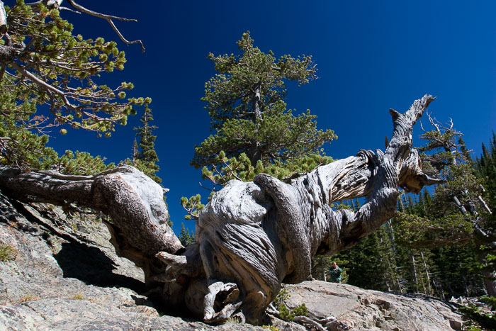 Rocky Mountain National Park