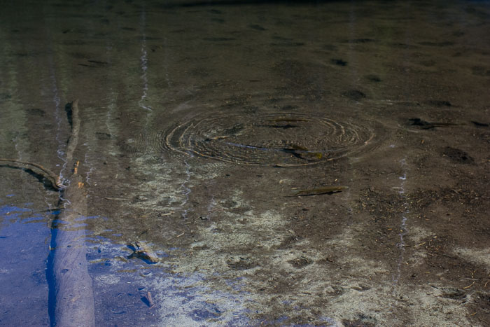 Rocky Mountain National Park