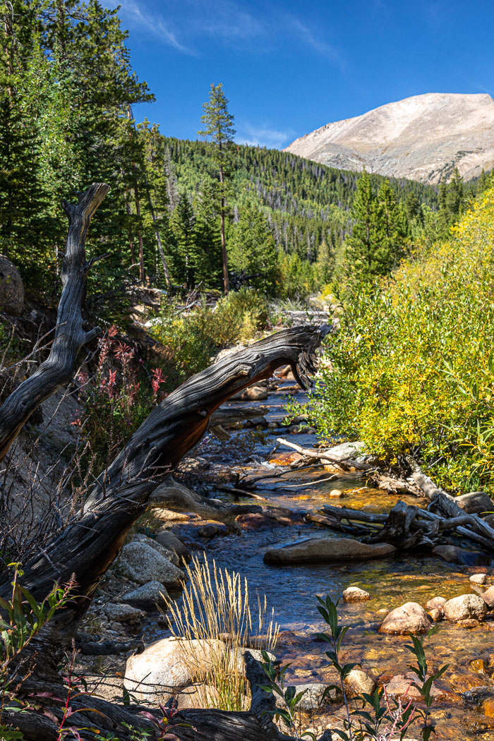 Rocky Mountain National Park