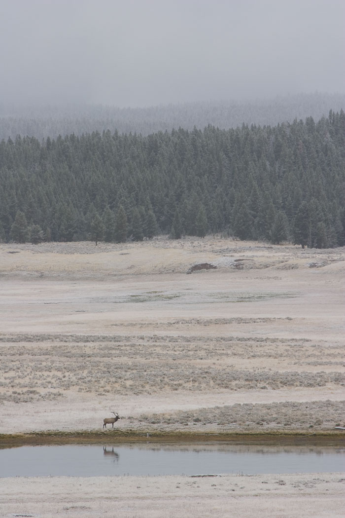Yellowstone Hydrothermal Features