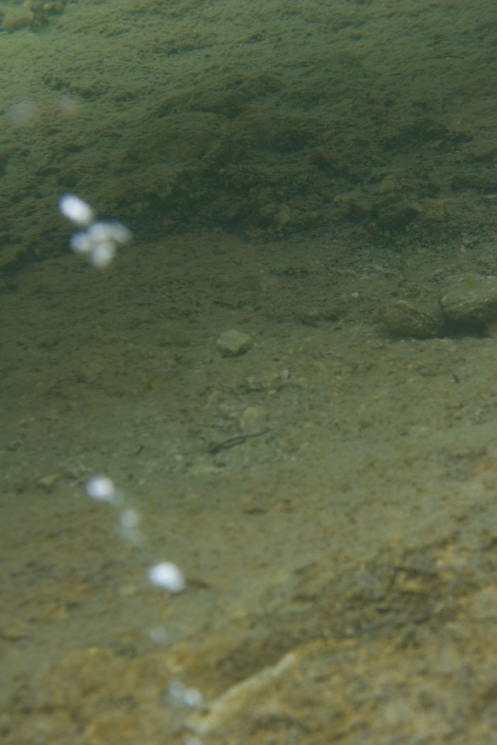 Yellowstone Hydrothermal Features