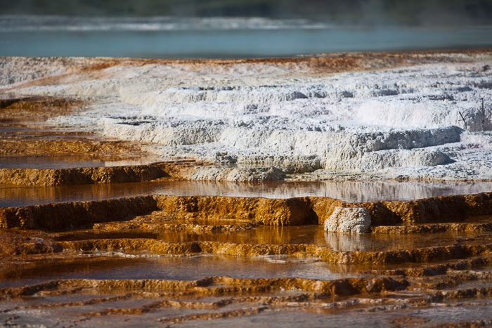 Yellowstone Hydrothermal Features