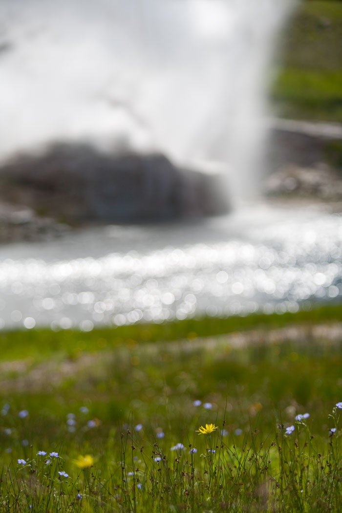 Yellowstone Hydrothermal Features