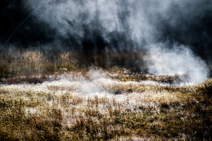Yellowstone Hydrothermal Features