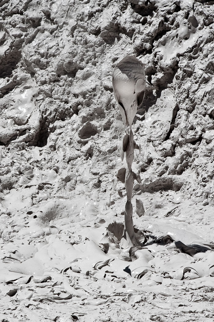 Yellowstone Mudpots