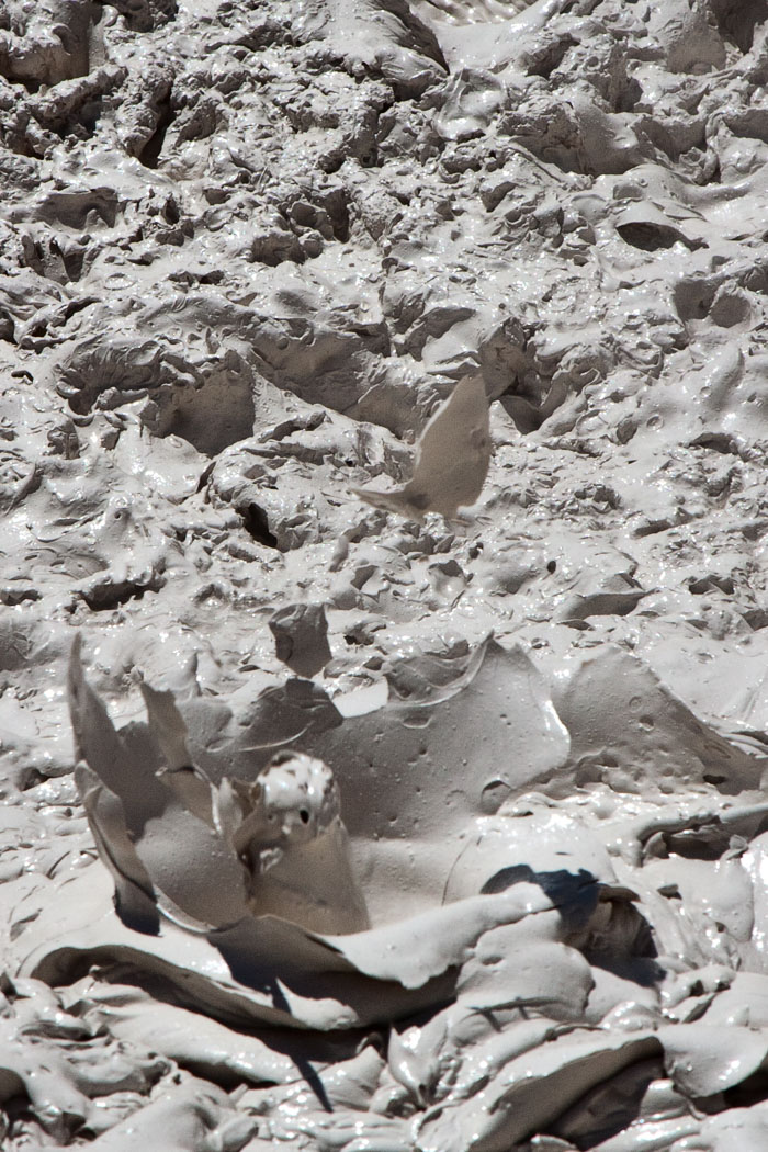 Yellowstone Mudpots