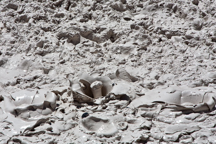 Yellowstone Mudpots