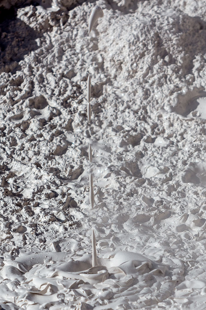 Yellowstone Mudpots
